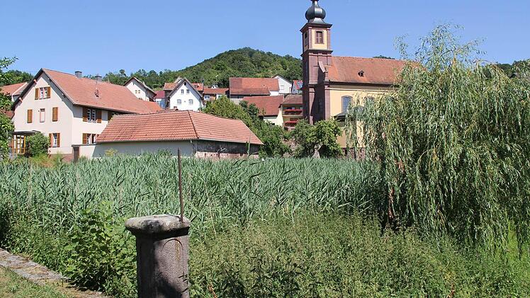 Zwischen dem Windheimer Pfarrgarten und den alten Schlossmauern könnte man einen Kräutergarten als optisch attraktives Wanderziel am Brennerweg planen.  Foto: Gerd Schaar