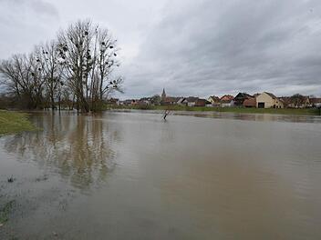 Der Main bei Kemmern ist derzeit überschwemmt. Foto: Ronald Rinklef