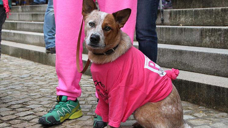 Pinklauf 2016 Foto: Ulrike Müller