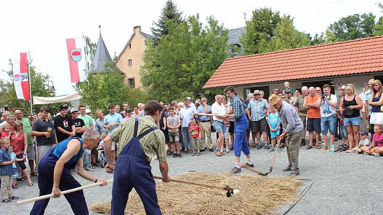 Die Getreide-Erntevorführungen in Schmölz fanden großes Interesse. Mittels Dreschflegel wurden früher die Getreidekörner aus den Ähren herausgeschlagen (gedroschen). Diese schweißtreibende Arbeit führten auf dem Dorfplatz in Schmölz (von links) Werner Völker, Michael Haderlein, Nicolai Hisl und Helmut Schindhelm vor.  Foto: Karl-Heinz Hofmann