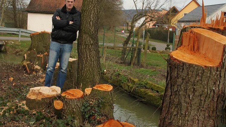 Sachbeschädigung und Diebstahl wirft Michael Reinwald (Bild) der Gemeinde Eggolsheim vor, weil die Bäume auf seinem Grundstück abgesägt wurden. Bürgermeister Claus Schwarzmann sagt, die meisten Bäume seien im Besitz der Gemeinde. Foto: Ekkehard Roepert