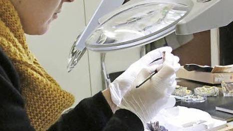 Ausbesserungsarbeiten unter dem Mikroskop  Foto: Josef Hofbauer