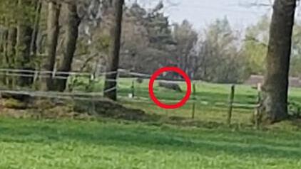 Diese Foto machte Petra Juergens mit ihrem Handy. Hinter den Absperrbändern tauchte am Freitagmorgen eine graue Gestalt (im Kreis) auf.