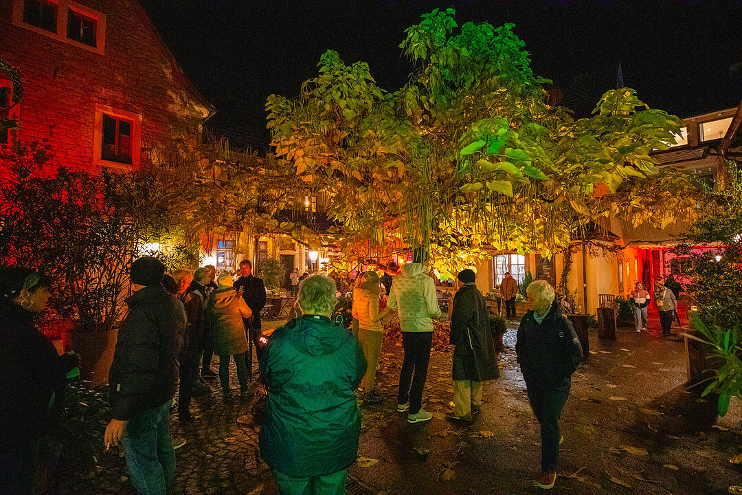 Prichsenstadt leuchtet