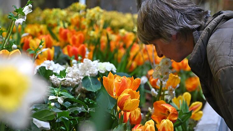 90. Internationale Gr&uuml;ne Woche