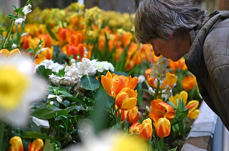 350.000 Besucher auf der Grünen Woche - Messechef zufrieden