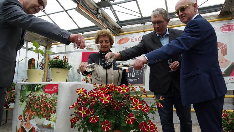 Regierungsvizepräsidenten Jochen Lange, Irmgard Heinrich, Gärtnereiinhaber Christoph Schlereth und Friedrich Reim, Bezirksvorsitzender des Bayerischen Gärtnerei-Verbands, taufen die Pflanze. Foto: Arkadius Guzy