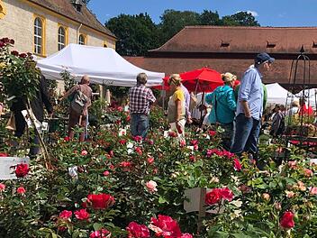 Das Gartenfest auf Schloss Eyrichshof läuft noch bis einschließlich Montag. Foto: Ralf Kestel