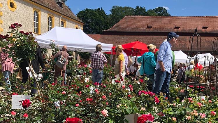 Das Gartenfest auf Schloss Eyrichshof läuft noch bis einschließlich Montag. Foto: Ralf Kestel