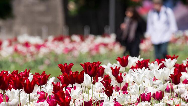 Foto: Marius Beckeer/dpa