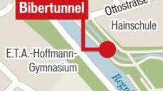 Durch einen Bibergang an der Stengelalle drohte sich der linke Regnitzarm in den Hollergraben zu ergießen: