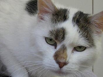 Wie sie wohl heißt? Luna, Mia oder Kira? Foto: privat