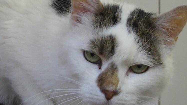 Wie sie wohl heißt? Luna, Mia oder Kira? Foto: privat