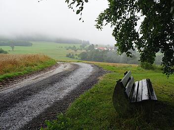 Die Kernwege sollen laut Empfehlung eher um die Orte herum erschlossen werden. Um den Haubenhof soll sowohl asphaltiert, als auch geschottert werden. Wegseitengräben sollen Regenwasser besser ableiten. Foto: Stephanie Elm