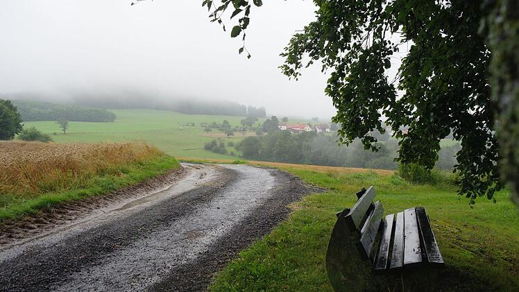 Die Kernwege sollen laut Empfehlung eher um die Orte herum erschlossen werden. Um den Haubenhof soll sowohl asphaltiert, als auch geschottert werden. Wegseitengräben sollen Regenwasser besser ableiten. Foto: Stephanie Elm