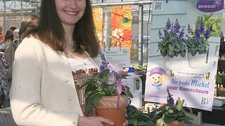 Kitzinger Frühling Kitzinger Frühling