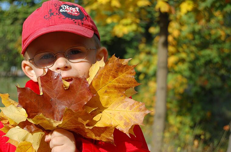 Kronach: Von Führungen bis Kunsthandwerk - was die Stadt als Ferienprogramm bietet