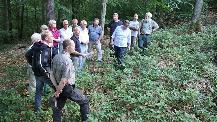 Ein Paradebeispiel für eine Naturverjüngung zeigte Gannt im Heubacher Wald. "Hier spielt auch der Jäger mit."