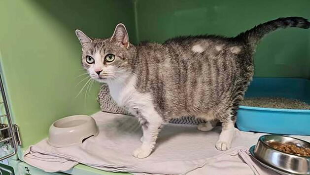 Tierheim Erlangen: "Warum habt ihr mich einfach zurückgelassen?"