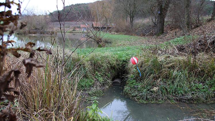 Bilder von der Teichanlage des ASV Hammelburg oberhalb von Obereschenbach. Foto: Ralf Ruppert