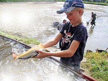 Kleiner Junge - großer Karpfen: Der siebenjährige Felix ist stolz auf seinen Fang. Foto: Michael Busch