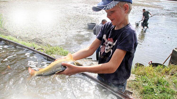 Kleiner Junge - großer Karpfen: Der siebenjährige Felix ist stolz auf seinen Fang. Foto: Michael Busch