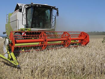 Wintergerste, wie hier im Bild, wird schon lange auf den Langen Bergen im Landkreis Coburg gedroschen. Dass aber Mais auf über 500 Metern über dem Meer wächst, lässt schon auf einen gewissen Klimawandel schließen. Foto: Berthold Köhler