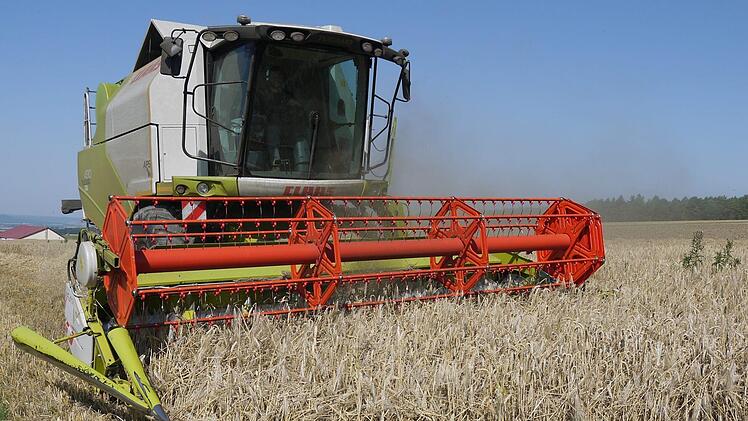 Wintergerste, wie hier im Bild, wird schon lange auf den Langen Bergen im Landkreis Coburg gedroschen. Dass aber Mais auf über 500 Metern über dem Meer wächst, lässt schon auf einen gewissen Klimawandel schließen. Foto: Berthold Köhler