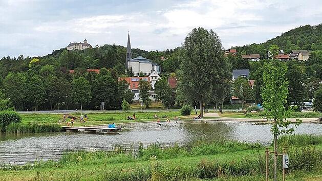 Vom Heiligenstadter See hat man einen sch&ouml;nen Blick zu Schloss Greifenstein und zur Kirche. Doch die Idylle ist gest&ouml;rt.  Fotos: Carmen Schwind