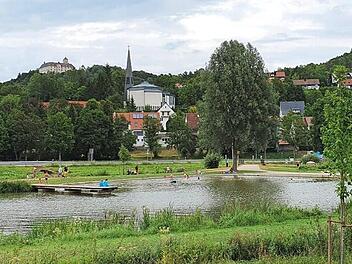 Vom Heiligenstadter See hat man einen schönen Blick zu Schloss Greifenstein und zur Kirche. Doch die Idylle ist gestört.  Fotos: Carmen Schwind