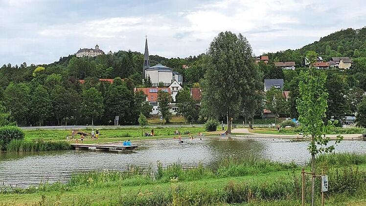 Vom Heiligenstadter See hat man einen schönen Blick zu Schloss Greifenstein und zur Kirche. Doch die Idylle ist gestört.  Fotos: Carmen Schwind