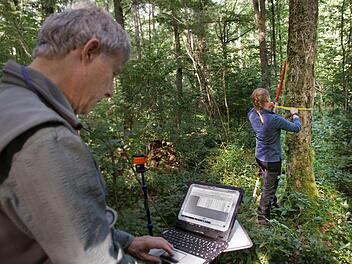 Bei der Bundeswaldinventur erfassen Joachim E&szlig;linger und Laura Winckelmann auch Daten wie die H&ouml;he des Baumes und dessen Stammdurchmesse. Foto: Steffen Standke