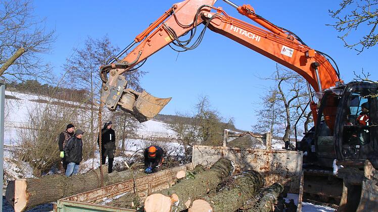 Mitglieder des Angelsportvereins Hammelburg haben sämtliche Bäume rund um die Obereschenbacher Teiche gefällt.