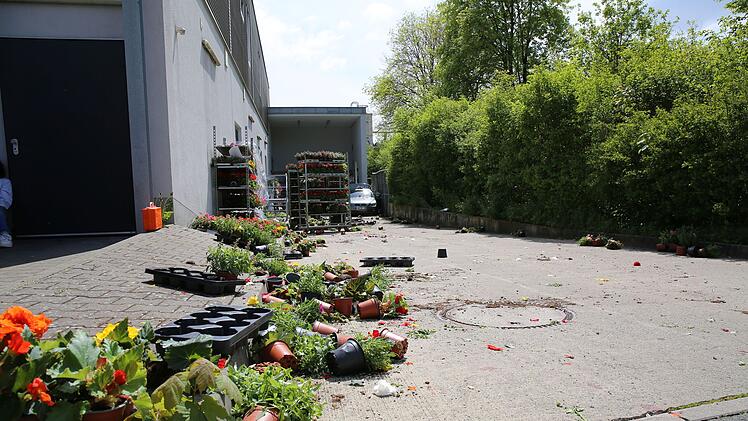 Selbitz: Frau rast mit Auto in Rewe-Blumenregal - Angestellte und Kundin kommen in Klinik