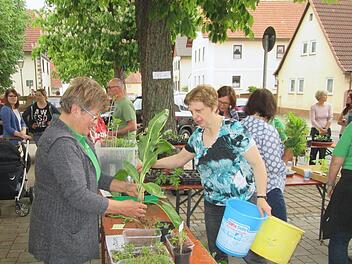 Die gut besuchte Pflanzentauschbörse de Obst- und Gartenbauverein Untererthal findet heuer am 5. Mai vor dem Feuerwehrhaus statt. Winfried  Ehling/ Marco Pusch