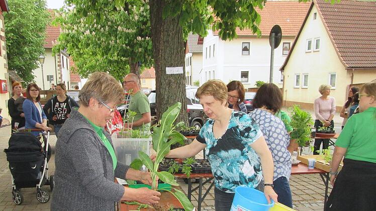 Die gut besuchte Pflanzentauschbörse de Obst- und Gartenbauverein Untererthal findet heuer am 5. Mai vor dem Feuerwehrhaus statt. Winfried  Ehling/ Marco Pusch