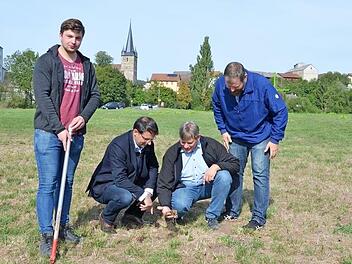 Sebastian Schultheiß, Martin Schöffel, Martin Flohrschütz und Martin Mittag begutachten die Folgen der Mäuseplage. Bei so starker Vermehrung lassen die Tiere von der Wurzelmasse der Pflanzen im Boden praktisch nichts mehr übrig. Fotos: Rainer Lutz