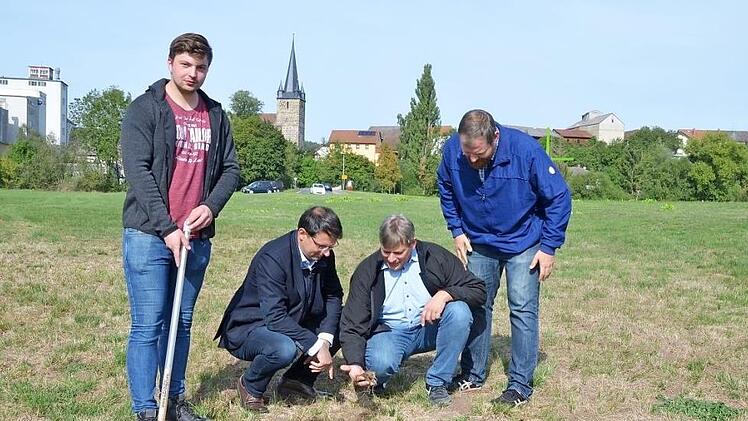 Sebastian Schultheiß, Martin Schöffel, Martin Flohrschütz und Martin Mittag begutachten die Folgen der Mäuseplage. Bei so starker Vermehrung lassen die Tiere von der Wurzelmasse der Pflanzen im Boden praktisch nichts mehr übrig. Fotos: Rainer Lutz