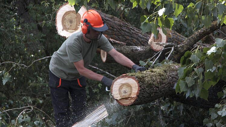 Wo gesägt wird, fallen Spähne.  Foto: Josef Hofbauer