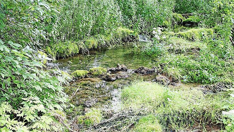 Die Sinterstufen sind schon wiederholt trockengefallen. Bisher hat scih das sensible Ökosystem immer wieder erholt. Foto: Josef Hofbauer