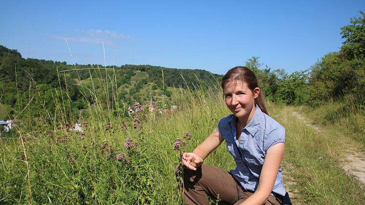 Aglaia Abel bei einer Begehung der Magerrasen oberhalb von Sulzthal. Foto: Ralf Ruppert