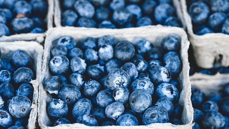 Ein absoluter Hingucker: Blaubeeren schmecken süß-aromatisch und sind sehr gesund.