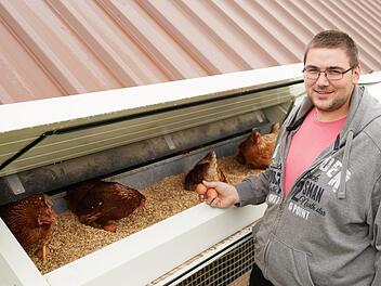 Daniel Kaßels Hennen legen ihre Eier in einer Box mit Dinkelstreu. Foto: Adriane Lochner