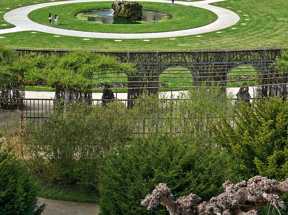Baumblüte im Hofgarten der Würzburger Residenz