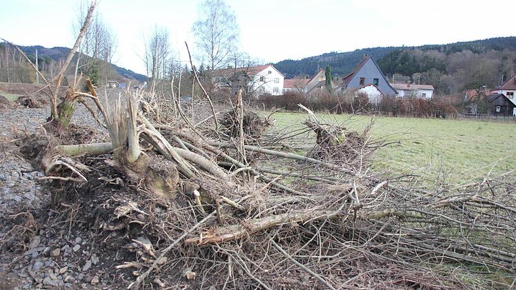 Foto: Friedwald Schedel