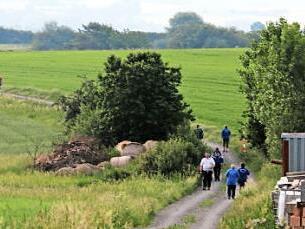 Fast 1000 Wanderer haben im vergangenen Jahr am IVV-Wandertag der Feldbucher Wanderfreunde teilgenommen.  Foto: Klaus Klaschka