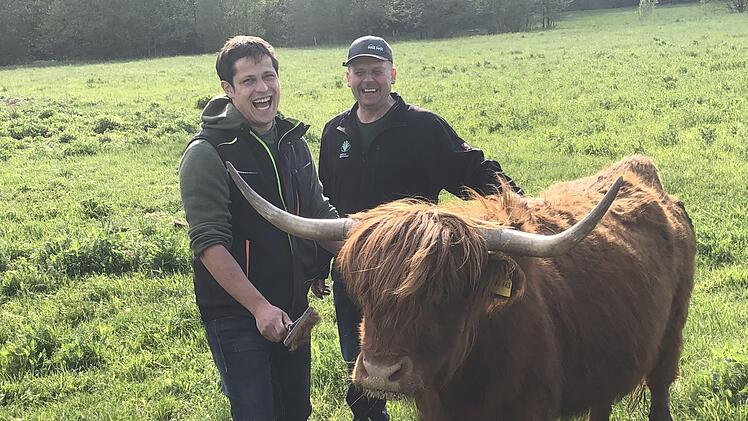 Kuh "Mimi" wird gekämmt! Timo Bürger (links) und Hartmut Gundermann haben sichtlich Spaß mit ihren schottischen Hochlandrindern. Fotos: Christoph Böger