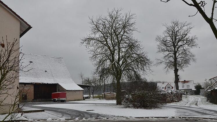 Am Ende der Schmiedstraße in Beutelsdorf soll eine Baulücke gefüllt werden. Dort steht auch eine stattliche alte Eiche (rechts).  Foto: Bernhard Panzer