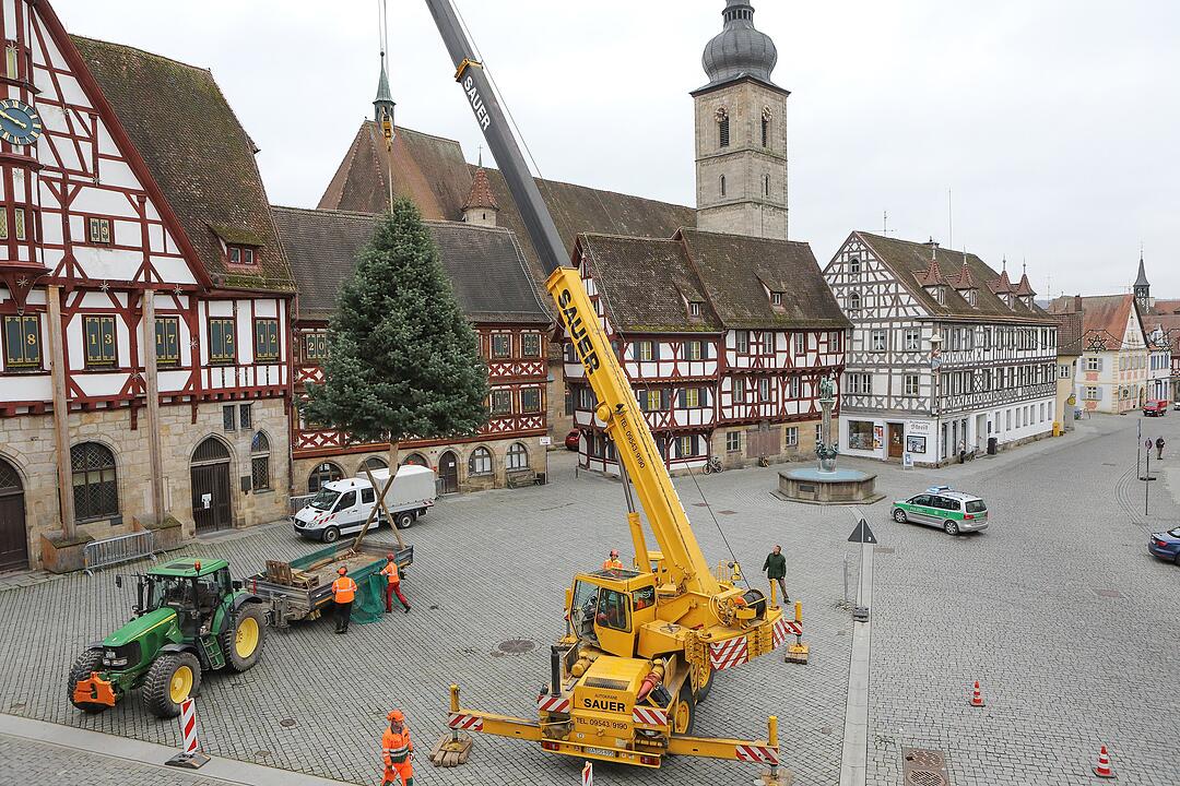 Christbaum kommt aus Schlaifhausen  auf den Forchheimer Rathausplatz