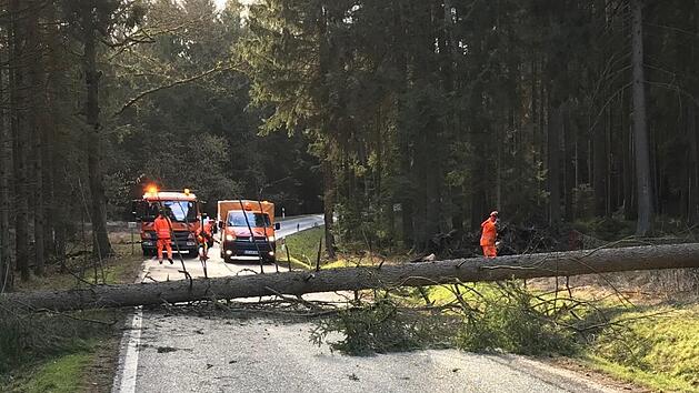 Ein umgefallener Baum versperrte gestern die Kreisstra&szlig;e zwischen Burgkunstadt und Kirchlein.  Foto: Landratsamt Lichtenfels/Heiko Tremel